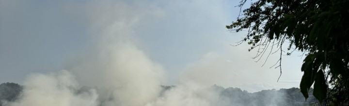 Intervencija u Plešivici